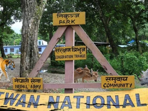 Chitwan Jungle Safari in Nepal: Ultimate Wildlife Adventure