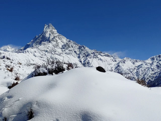 Short Mardi Himal Trek